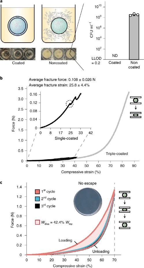 麻省理工學(xué)院趙選賀Nature子刊 基于細(xì)菌的水凝膠生物容器,可進(jìn)行連續(xù)感測(cè)和計(jì)算